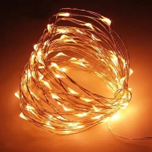 20 Battery Operated LED String Lights on Copper Wire Christmas Tree Lights (Warm White)