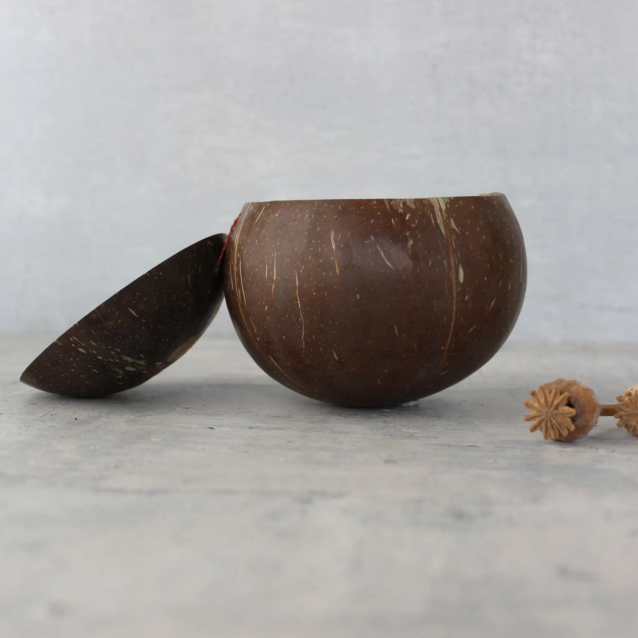 Coconut Lidded Bowl