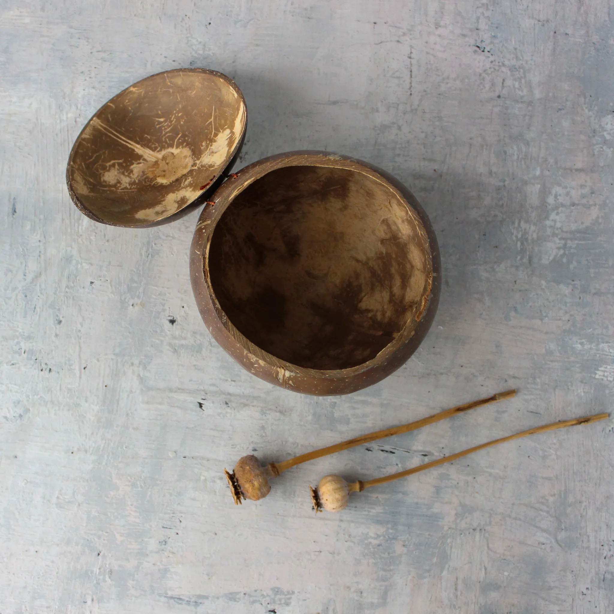 Coconut Lidded Bowl