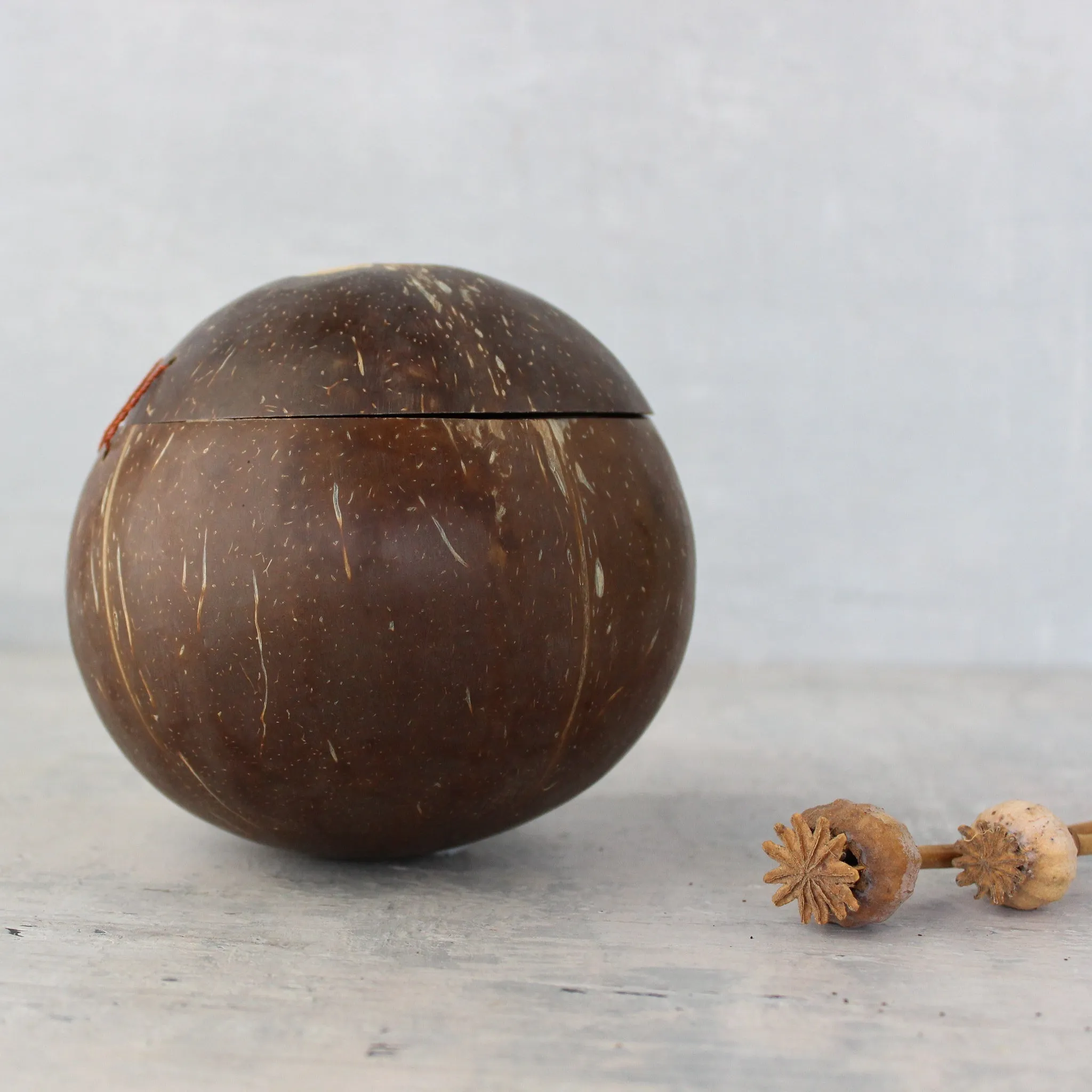 Coconut Lidded Bowl