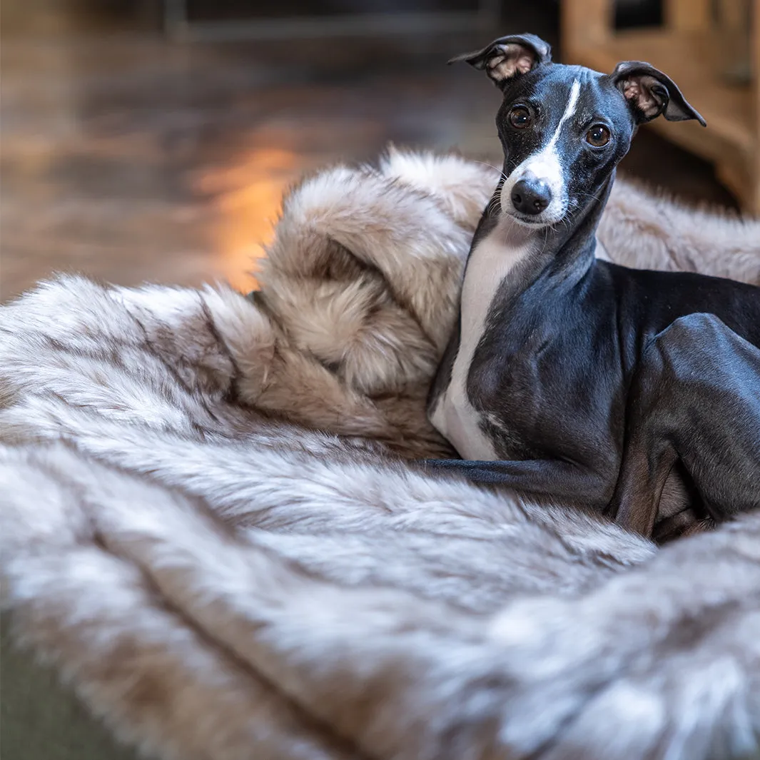 Faux-Fur Dog Blanket in Oatmeal