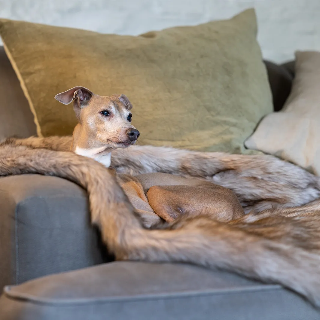 Faux-Fur Dog Blanket in Oatmeal