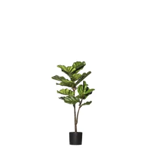 Rogue Fiddle Tree Delux 50x50x102cm Green