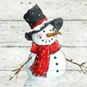 Snowman & Bird  - Square Coasters - 4 Inch