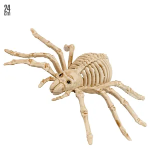 Spider Skeleton Decoration 24cm